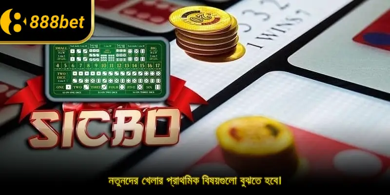 নতুনদের খেলার প্রাথমিক বিষয়গুলো বুঝতে হবে।