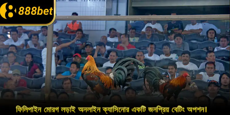 ফিলিপাইন মোরগ লড়াই অনলাইন ক্যাসিনোর একটি জনপ্রিয় বেটিং অপশন।
