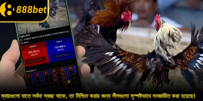 ম্যাচগুলো যাতে সর্বদা স্বচ্ছ থাকে, তা নিশ্চিত করার জন্য লীগগুলো সুস্পষ্টভাবে সংজ্ঞায়িত করা হয়েছে।