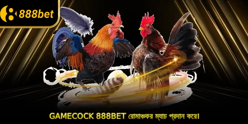 Gamecock 888BET রোমাঞ্চকর ম্যাচ প্রদান করে।